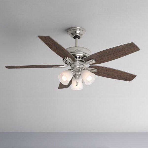 ventilador de techo | newsome