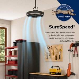 surespeed surespeed