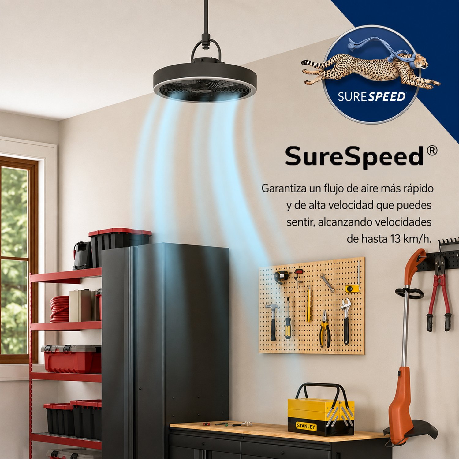 surespeed surespeed